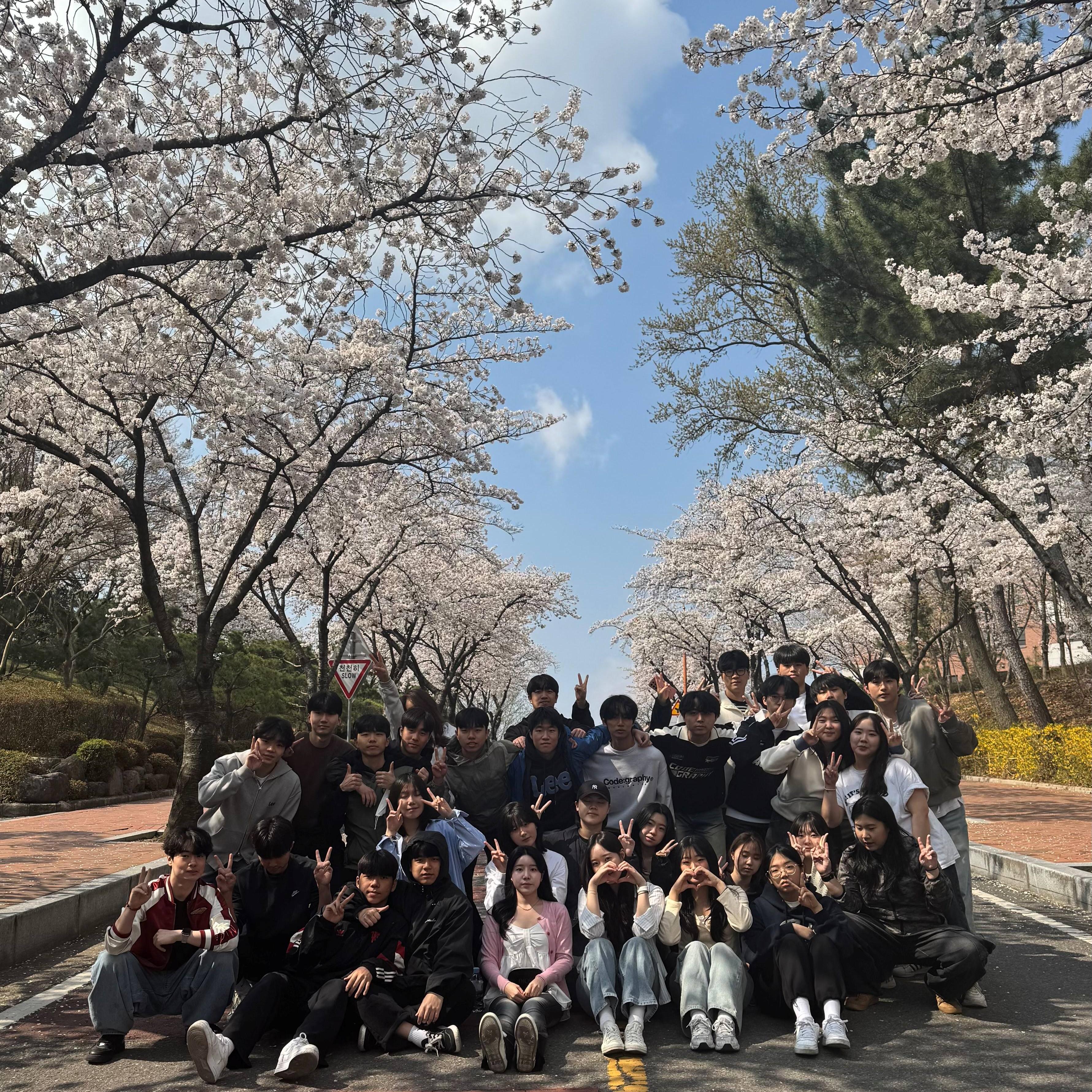 벚꽃사진